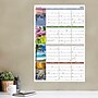 2026 AT-A-GLANCE Seasons in Bloom 36" x 24" Yearly Dry Erase Wall Calendar, Reversible (PA133-26)~#|#~B7080746-EB88-4466-9273A27B1FA9D493_sc7