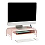 Mind Reader Monitor Stand, Holds Up to 33 lbs., Pink (MESHMONSTA-PNK)~#|#~B7132C85-39AB-4E66-9C1D88974E9C6B21_sc7