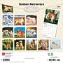 2027 BrownTrout Golden Retrievers 12" x 12" Monthly Wall Calendar (9798330712472)~#|#~B7470FD3-FE72-45A1-AF1C6749AF50F336_sc7