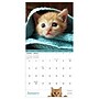 2026 TF Publishing Kittens Mini 7" x 7" Monthly Wall Calendar, Multicolor (26-2002)~#|#~B763812E-5D4B-41C2-B82689C3B386A4DC_sc7