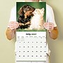 2027 TF Publishing Furry Friends 12" x 12" Monthly Wall Calendar (27-1011)~#|#~B7A1F09E-61BE-4188-8A2659CC3432522E_sc7