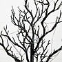 Nearly Natural Pre-Lit Artificial Halloween Black Spooky Twig Tree, 2' (T5233)~#|#~B7B8E6B4-D6DF-425E-92E8A114B88B0887_sc7