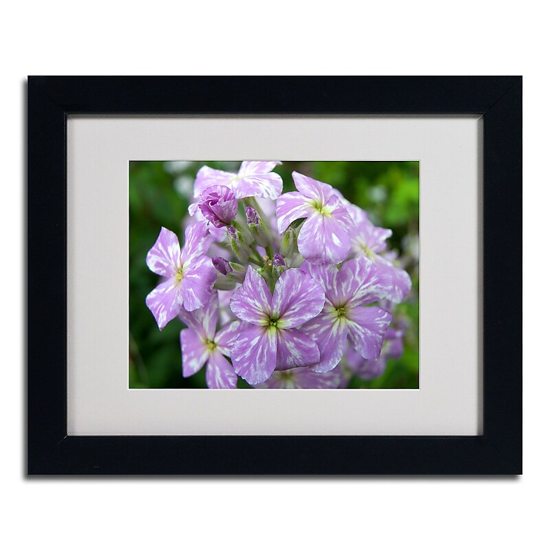 Trademark Monica Fleet "Lambent Glow" Art, White Matte W/Black Frame, 11" x 14" image 1