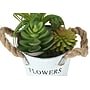Monarch Specialties Inc. 7" Artificial Succulent Plant in Pot, 2/Set (I 9361)~#|#~B7CFACA2-004E-4E29-AE4503B6FB8F1182_sc7