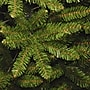 National Tree Company Kingswood Fir Artificial Christmas Trees (KW7-500-40)~#|#~B7DF1B3F-D1BF-4E34-B8F810831CA576A4_sc7