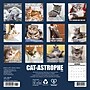 2026 Willow Creek Cat-astrophe 7" x 7" Monthly Wall Calendar (53492X)~#|#~B7E217FD-4B11-4430-AB6524CA55339B7C_sc7
