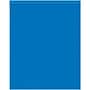 10" x 12" Reclosable Poly Bag, 2 Mil, Blue, 1000/Carton (PB3655BL)~#|#~B7EC1C4A-8CA3-4342-9C09B84720EB8376_sc7