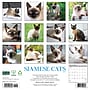 2027 Willow Creek Siamese Cats 12" x 12" Monthly Wall Calendar, Assorted Colors (62326)~#|#~B7F85C9F-C9D6-40E2-956D9DEEB966A951_sc7