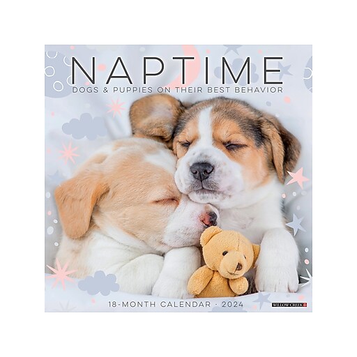 2024 Willow Creek Naptime (Dogs & Puppies) 12" x 12" Monthly Wall