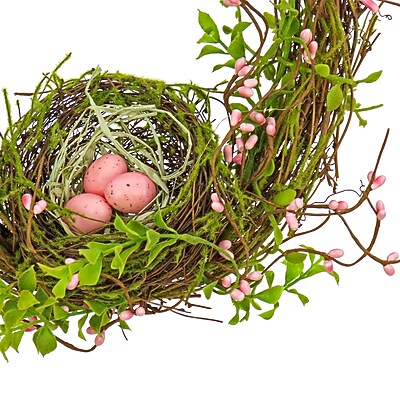 National Tree Company Birds Nest Twig Wall Decor