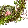 National Tree Company 11" Birds Nest Twig Wall Decor (DS69-E21G7009-1)~#|#~B82DB4F2-ECB0-4D0E-AF90A115CFE696FA_sc7