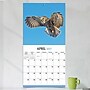 2027 TF Publishing Owls 11" x 12" Monthly Wall Calendar, Multicolored (27-1044)~#|#~B8359448-7FF2-4C32-A34592DD6EEF932E_sc7