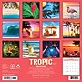 2027 Willow Creek Tropic 12" x 12" Monthly Wall Calendar, Assorted Colors (62678)~#|#~B84C3332-47DE-4710-9FC82B53CE0A49D5_sc7