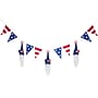 National Tree Company 6 ft. Patriotic Flags and Blue Gnomes Garland (RAP-BLF6073-1)~#|#~B865A12F-BB98-4061-B4B0478C6A06E7AE_sc7