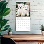 2026 Plato Puppy Pals 12" x 12" Monthly Wall Calendar (9798330706839)~#|#~B867A3A4-28EC-42F2-AB7CD57DCA9B7758_sc7
