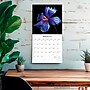 2026 Brush Dance In the Garden 12" x 12" Monthly Wall Calendar (9798330706525)~#|#~B8702F55-1430-413B-BB6A2277B6AA1570_sc7