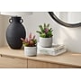Monarch Specialties Inc. 9" Artificial Succulent Plant in Pot, 2/Set (I 9366)~#|#~B874A7CA-19E8-4A5D-A49AD26CBEB54C8A_sc7