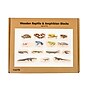 TickiT Wooden Reptile & Amphibian Blocks, Natural, 15/Set (CTU73570)~#|#~B8A71B89-65B3-4DA5-A01300C8BA4DA624_sc7