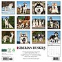 2027 Willow Creek Siberian Huskies 12" x 12" Monthly Wall Calendar, Assorted Colors (62333)~#|#~B8B40483-5A92-4CB9-8E00C850184F2DF9_sc7