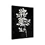 Amanti Art Plant Life White on Black II, Canvas, 23" x 30" (A42675515283)~#|#~B8DF0C74-4EAF-4B75-92C710D5E84F2823_sc7