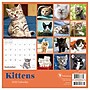 2026 TF Publishing Kittens Mini 7" x 7" Monthly Wall Calendar, Multicolor (26-2002)~#|#~B8E32B97-2DA7-43D0-8412C86F0BE4538C_sc7