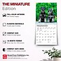 2027 BrownTrout Schnauzer Puppies 7" x 7" Monthly Wall Calendar (9798330710072)~#|#~B8EA2C3C-9E57-4DEA-8EF4C5410DC496F8_sc7