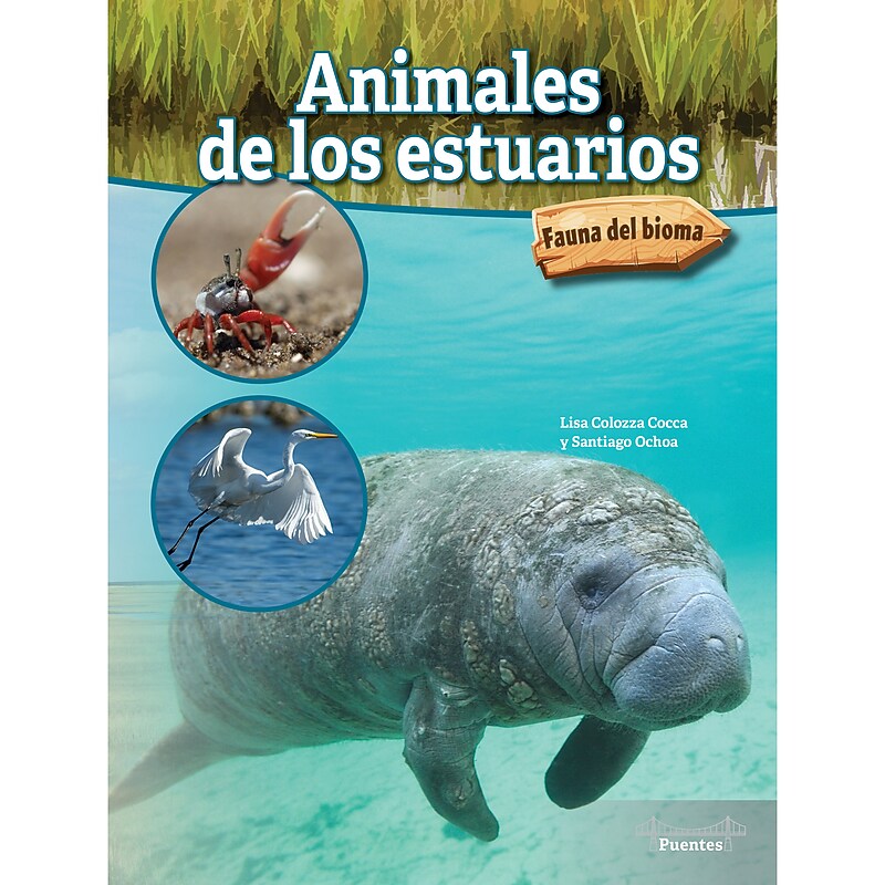 Carson-Dellosa Bridges Animales de los estuarios, Hardcover (CD-9781731654632) image 1