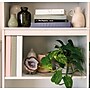 Samsill Earth's Choice Plant-Based 1" View Durable Binders, D-Ring, Boho Assortment, 4/Pack (MP46939)~#|#~B8ECCDDC-A7FD-4450-A2E4E60347403675_sc7