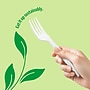 Perk™ Eco Compostable PLA Assorted Cutlery, Medium-Weight, White, 360/Pack (PK56205)~#|#~B8FC0347-D2AB-44E6-B577D4D32B5F18A1_sc7