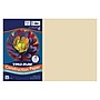 Tru-Ray 12" x 18" Construction Paper, Ivory, 50 Sheets/Pack, 5 Packs/Bundle (PAC103065-5)~#|#~B8FF8CD7-63A0-4D88-B6167777EFDDA85E_sc7