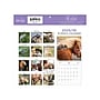 2025-2026 Blue Sky Animal Friends 7" x 7" Academic Monthly Wall Calendar, Assorted Colors (155817)~#|#~B8FFB834-540E-4FAF-B407B64BECF8BAB7_sc7