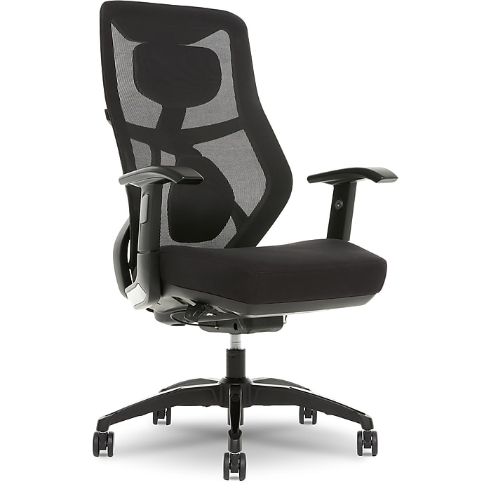 Beautyrest Duo-EX Ergonomic Mesh Swivel Task Chair, Black/Gray (60051GRY)