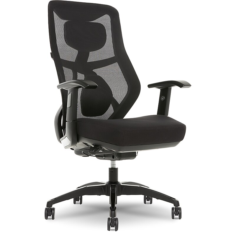 Beautyrest Duo-EX Ergonomic Mesh Swivel Task Chair, Black/Gray (60051GRY) image 1