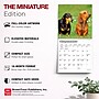 2027 BrownTrout Dachshunds 7" x 7" Monthly Wall Calendar, Assorted Colors (9798330709984)~#|#~B91ABBEE-8E32-4F75-B0144F137479EB6B_sc7