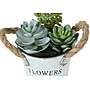 Monarch Specialties Inc. 7" Artificial Succulent Plant in Pot, 2/Set (I 9361)~#|#~B9252A15-4FCC-49E3-B8C285EB66EDAC3E_sc7