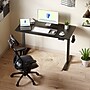 Flexispot EZ2 48"W Electric Adjustable Standing Desk, Black (EZ2B-E)~#|#~B929B0E1-6463-4138-88BA74485F001D62_sc7
