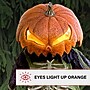 Haunted Hill Farm Pumpkin Sentinel by Tekky (HHPUMPSENT-3FLSA)~#|#~B929D5C9-1BB0-497C-B282DFCEE85CB9F1_sc7