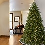 National Tree Company Jersey Fraser Fir Artificial Christmas Tree (PEJF1-300-65)~#|#~B93144D6-F89E-481D-A02C5DE3306A00A3_sc7