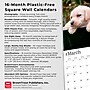 2026 BrownTrout Labrador Retriever Puppies 12" x 12" Monthly Wall Calendar (9798330704170)~#|#~B9317AF4-2B17-4520-8E36A308DF47A766_sc7