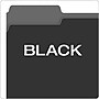 Pendaflex Interior Recycled File Folder, Straight Cut, Assorted, Letter Size, Black, 100/Box (4210 1/3 BLA)~#|#~B93B7104-5C02-420B-8E0EBE8DBFE56F18_sc7