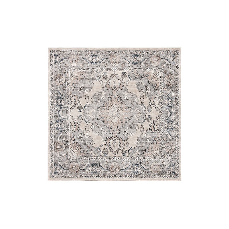 Safavieh Oregon Collection 4' x 4' Square Indoor Area Rug, Machine Made, Beige/Grey (ORE898B-4SQ) image 1