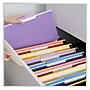 Universal File Folder, 3 Tab, Legal Size, Bright Violet, 100/Box (UNV10525)~#|#~B9540A27-0769-41B2-AF2E938958F9416A_sc7