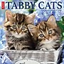2027 Willow Creek Tabby Cats 12" x 12" Monthly Wall Calendar, Assorted Colors (62531)~#|#~B96AE97F-49D1-4234-B874D0923DA2B297_sc7