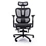 Sealy Astra Ergonomic Mesh Swivel Executive Chair, Black ~#|#~B9770DC3-AE02-4EFB-805CDAD73715BE50_sc7