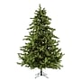 Fraser Hill Farm 9-Ft. Foxtail Pine Pre-Lit Artificial Christmas Tree, 1250 Lights (FFFX090-5GR)~#|#~B97BBAB4-961F-4B10-A215D7B555532228_sc7