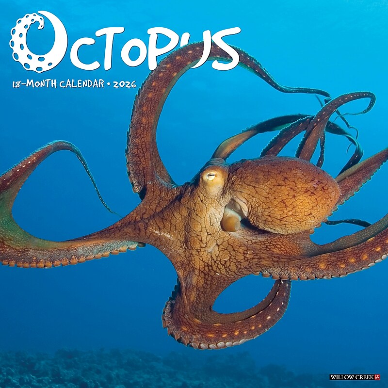 2026 Willow Creek Octopus 12" x 12" Monthly Wall Calendar (56028) image 1