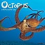 2026 Willow Creek Octopus 12" x 12" Monthly Wall Calendar (56028)~#|#~B9803622-A52C-4B53-889DD181B2305000_sc7