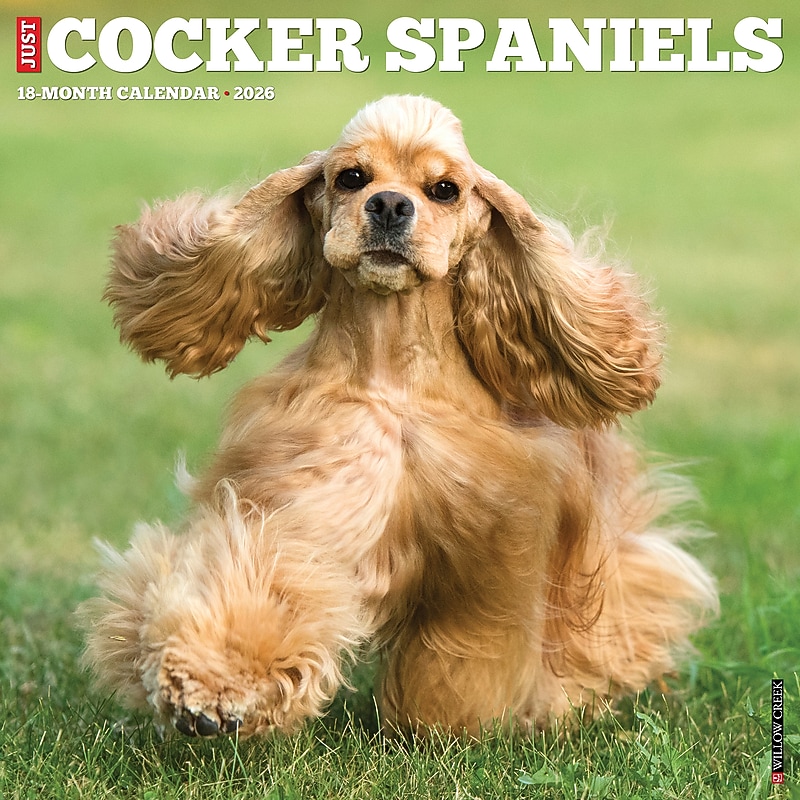 2026 Willow Creek Cocker Spaniels 12" x 12" Monthly Wall Calendar (50781) image 1