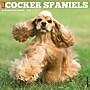 2026 Willow Creek Cocker Spaniels 12" x 12" Monthly Wall Calendar (50781)~#|#~B9827652-9AAD-41C5-B256EF3606E2251E_sc7