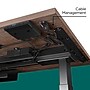 Workplace 2.0 55"W Electric Rectangular Adjustable Standing Desk with Micro Movements, Espresso (WP63152)~#|#~B9A4935E-2E63-4984-A77A6B01945D6B22_sc7